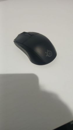 Steel series mouse