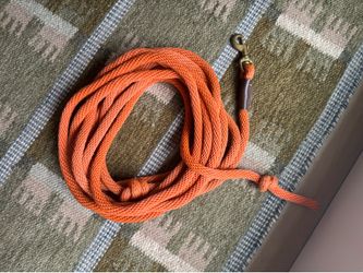 30ft dog leash “long line”