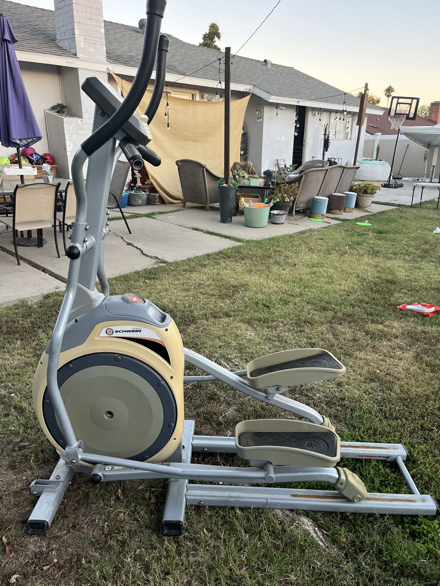 Schwinn Stair Stepper