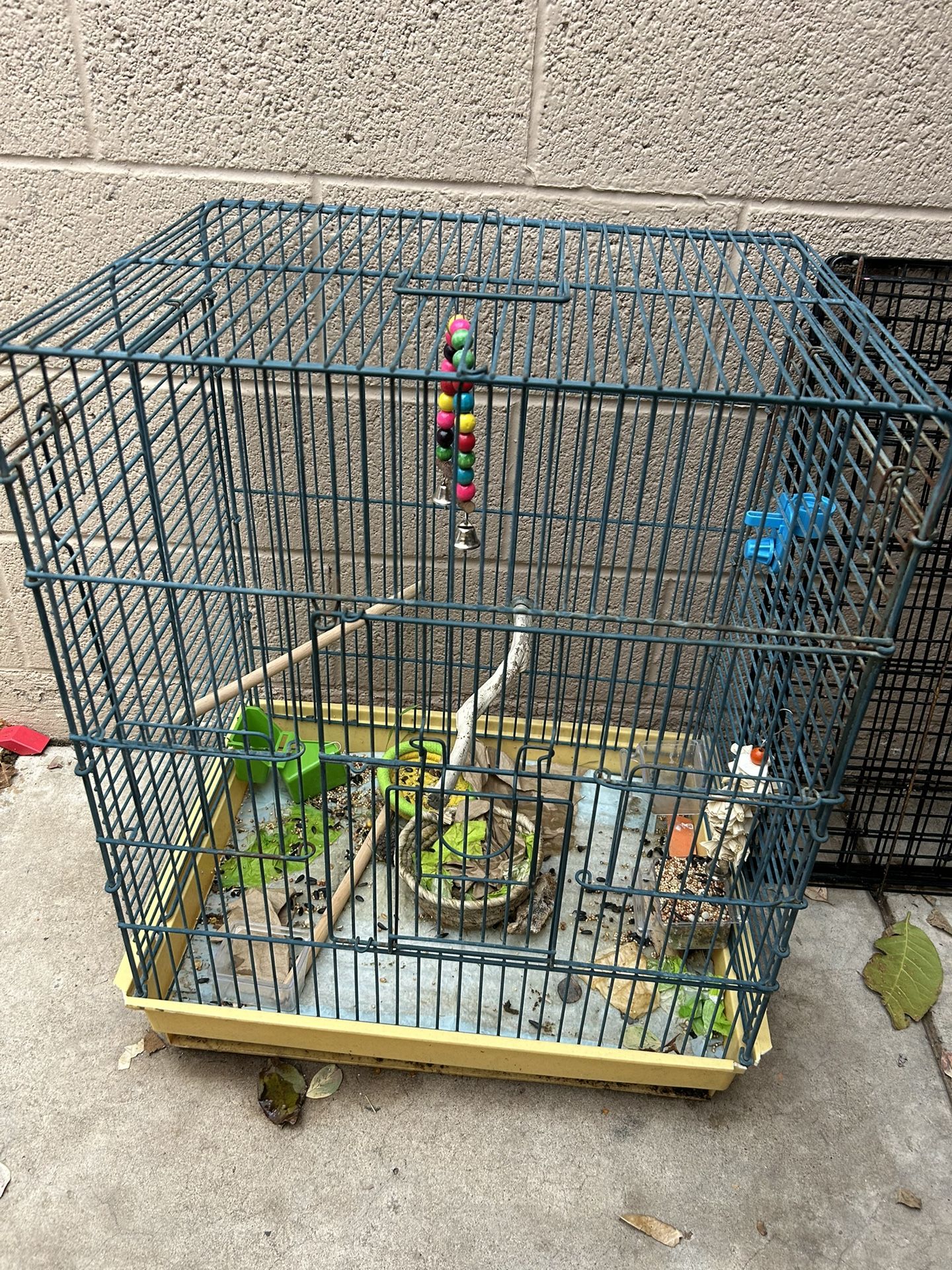 Bird Cage 
