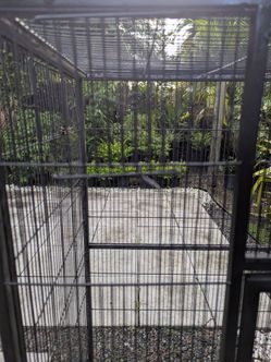 bird, reptile cage