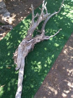 Large 6 ft 7 in. Driftwood for aquariums terrariums decor