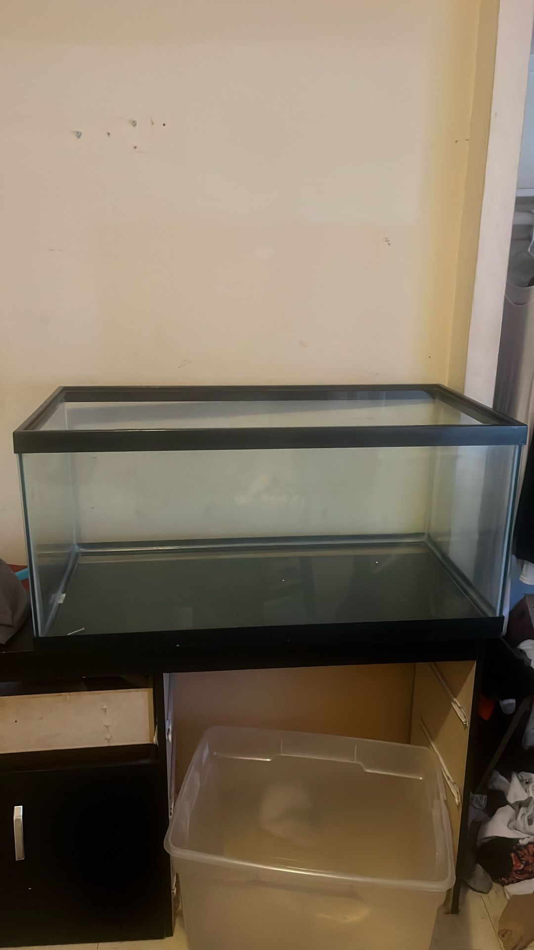 Fish Tank 