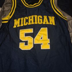 Vintage Michigan Wolverines Robert Traylor Jersey 