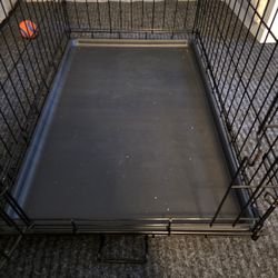 Cage/Jaula