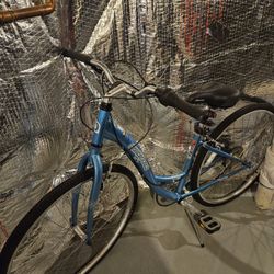 Carpets and Bikes