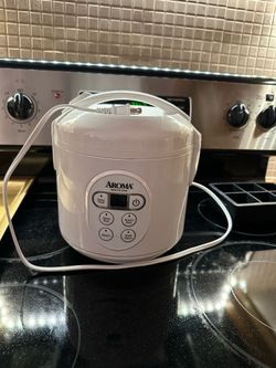 Electric rice cooker with pot and steamer dish
