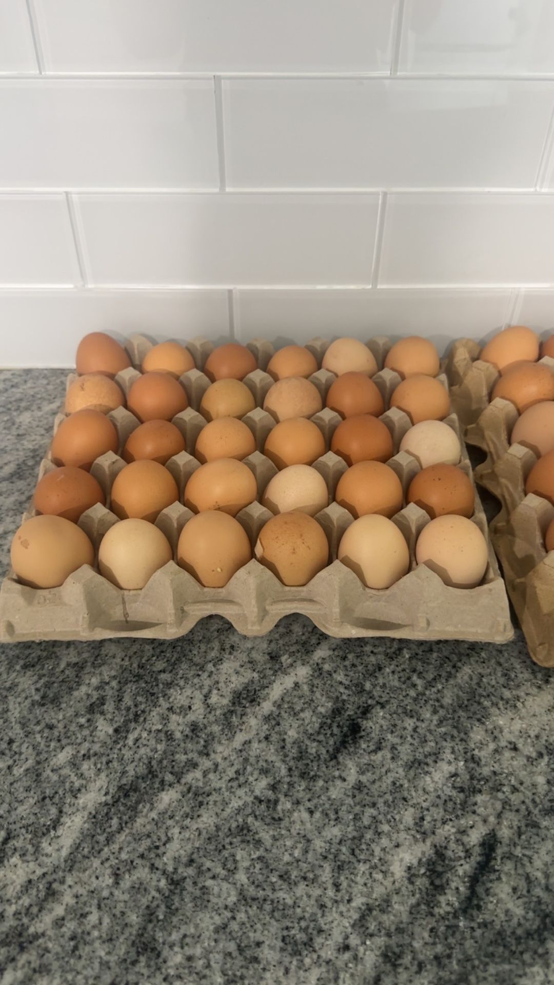 Organic Eggs