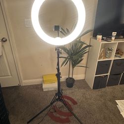 Ring Light + Phone Adapter - Like New, Great for TikTok/Youtube