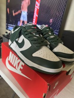 Nike Dunks ~ Michigan State 10.5