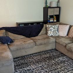Large Sectional With Pullout Bed