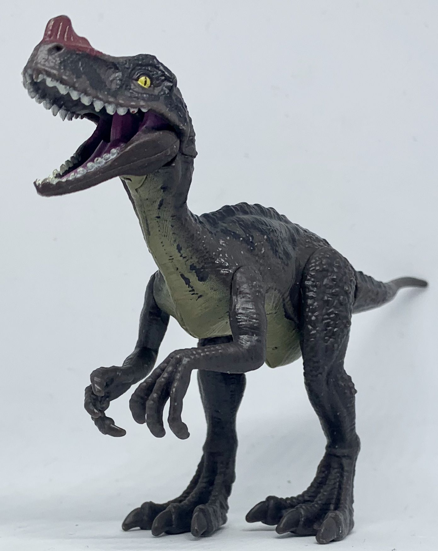 Jurassic World Attack Pack - Proceratosaurus