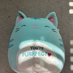 Cat Plushie