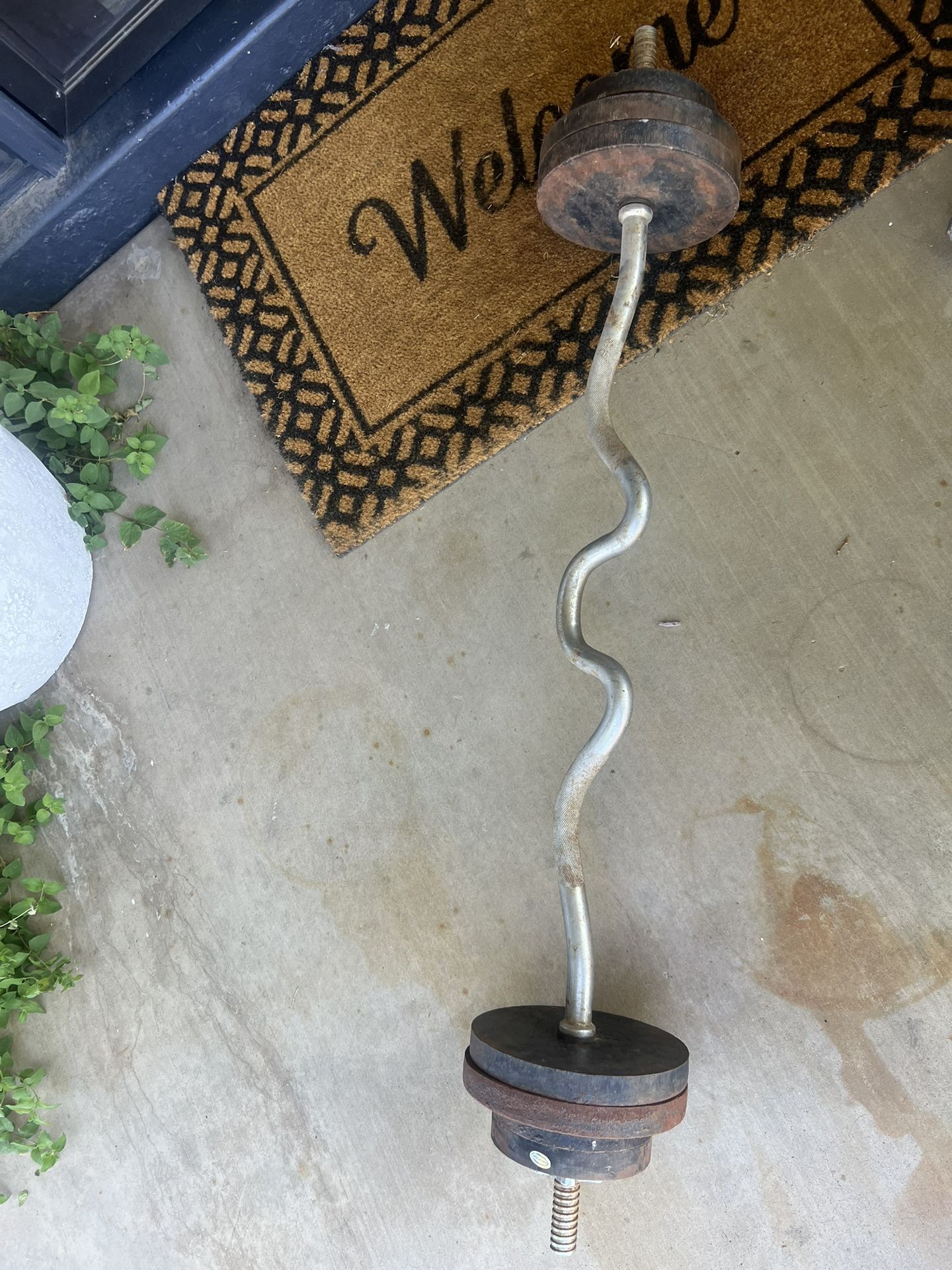 Ez Curl Bar With Weights