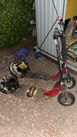 Gas-Powered Scooter and Motorized Skateboard Lot