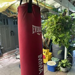 Punching Bag