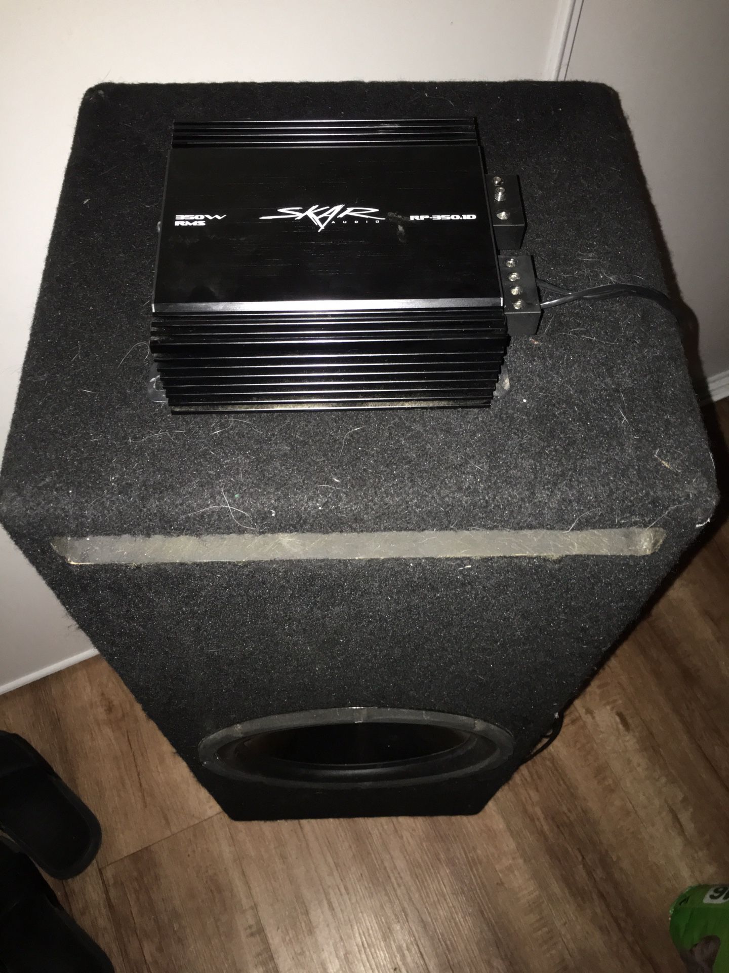12” speaker w/ box and skar amp