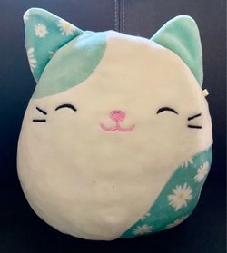 Sqiushmellow Cat