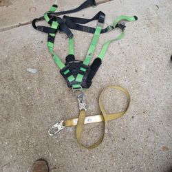 2 Safety Waist Harness 