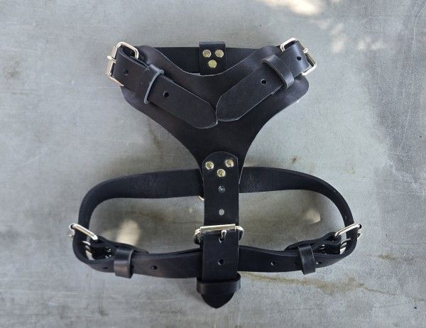 Dog Harness