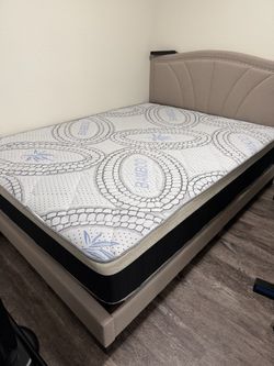 Queen Size Bed