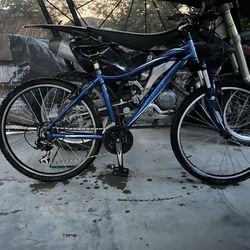 Specialized Mtn Bike