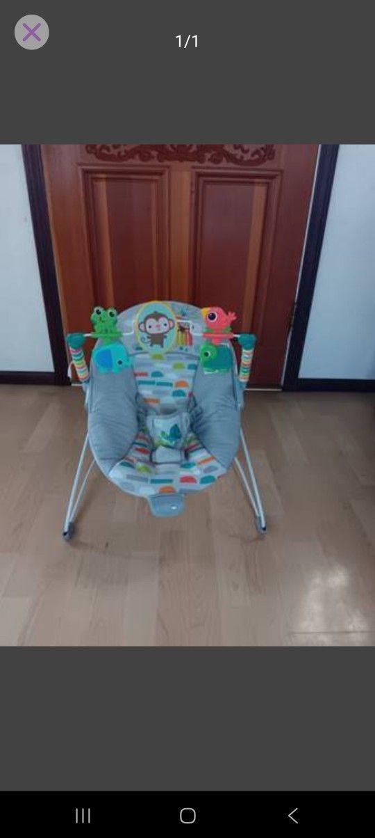 Baby Bouncer