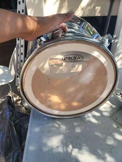 Pacific tom 14