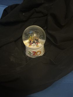 2020 snow globe