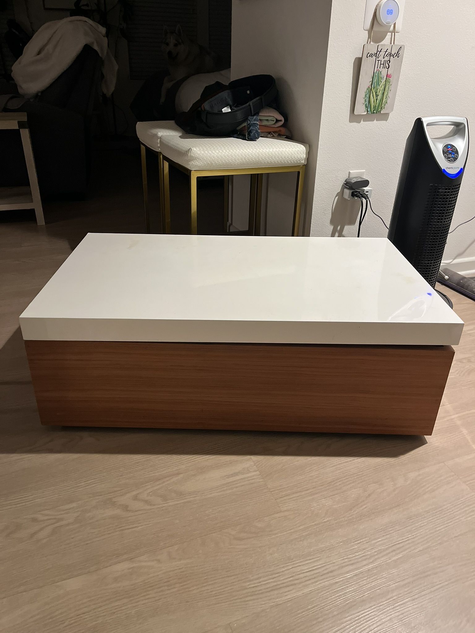 Coffee Table/ Storage Chest