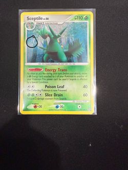 Pokemon, Sceptile - Stormfront Holo