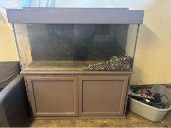 Fish tanks