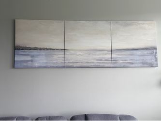 Beautiful 3 piece wall art