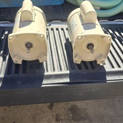 Pool Motor