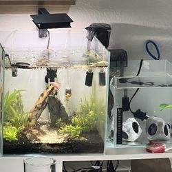 fish tank with fish and all accessories