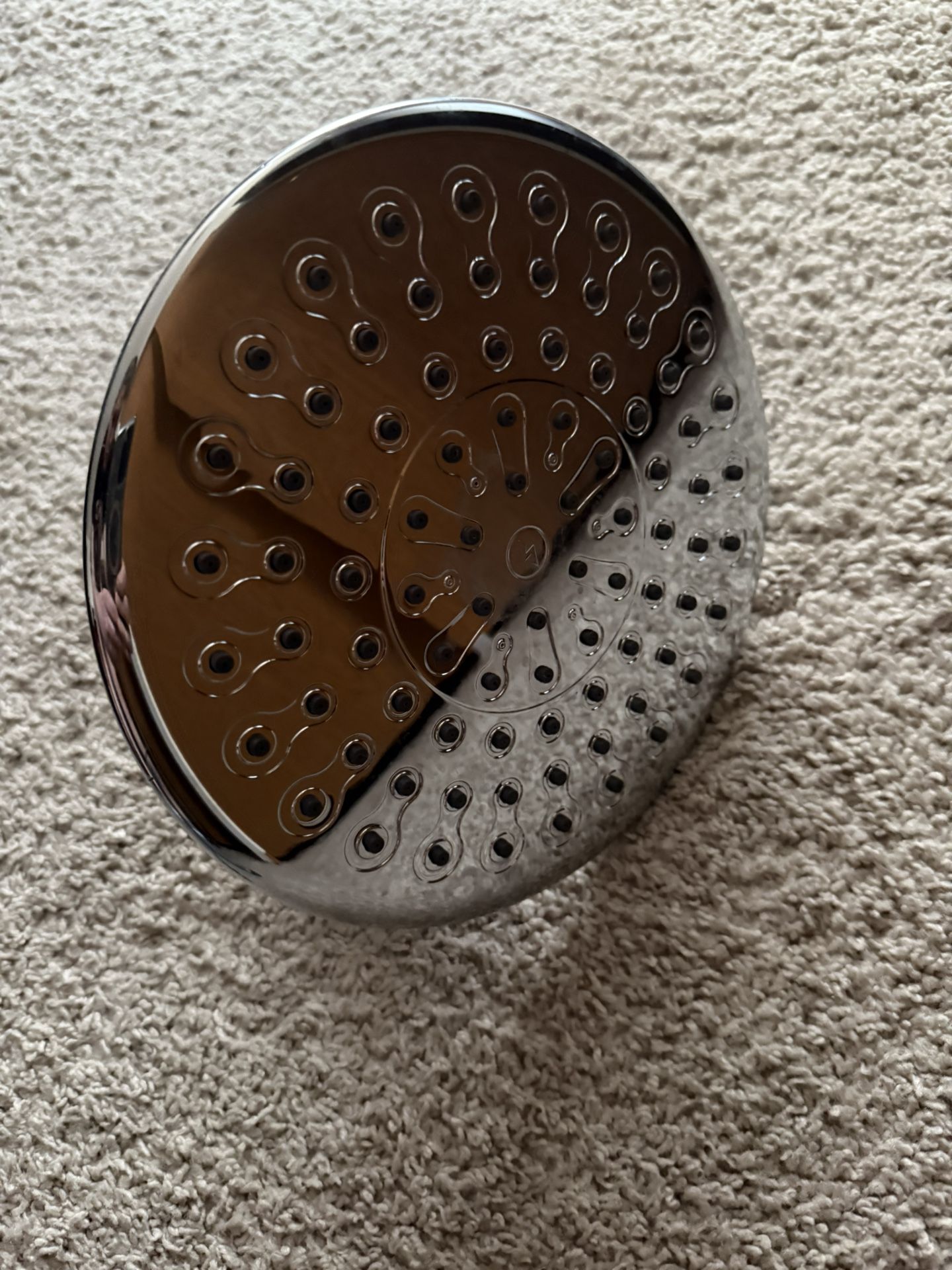 Filtered Shower head