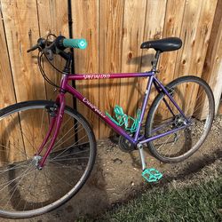 1990’s specialized Crosstrail mountain bike