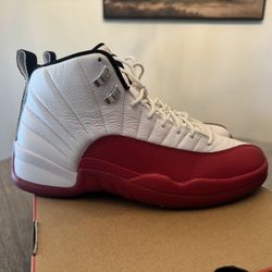 Jordan Retro 12 