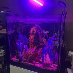 Fish Tank With Stand