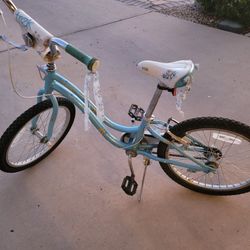 Girls Trek Bike