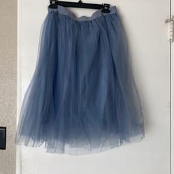 Tulle Skirt