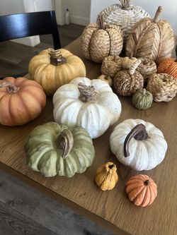 Fall Pumpkins 