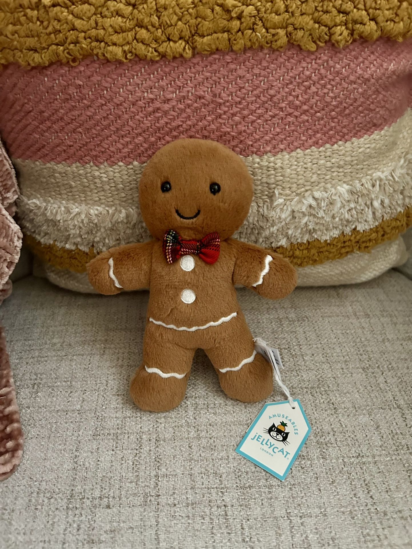 Gingerbread Jelly Cat