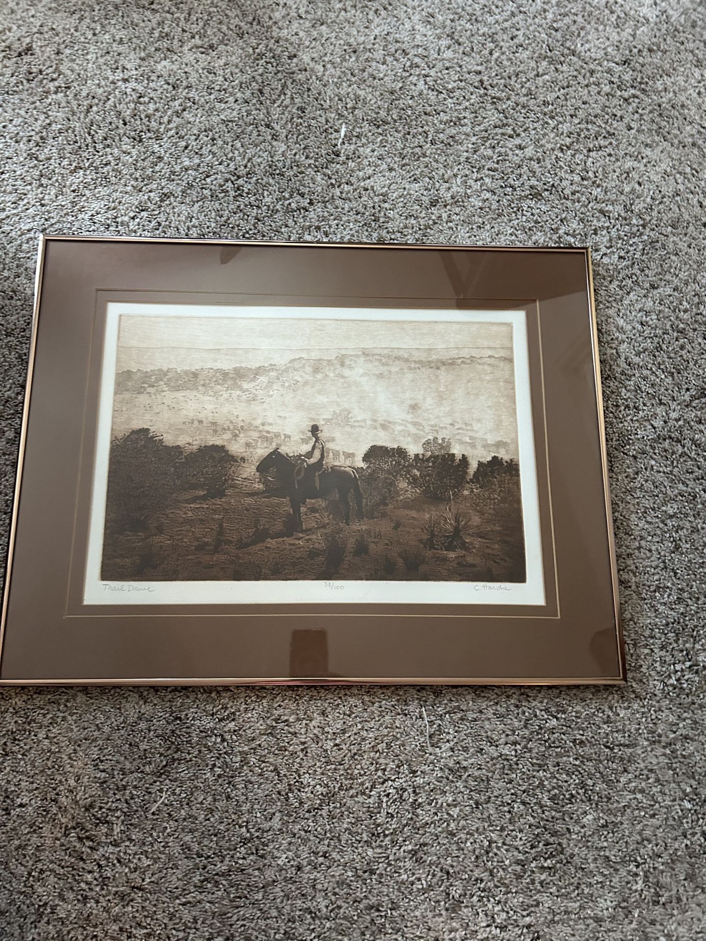 C.Hardie Framed Print