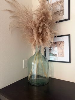 60 + inches pampas