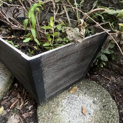 2 large planter boxes with plants