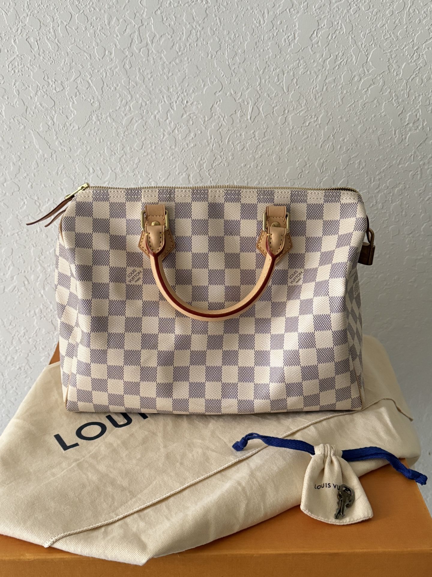 Authentic Louis Vuitton Hand Bag