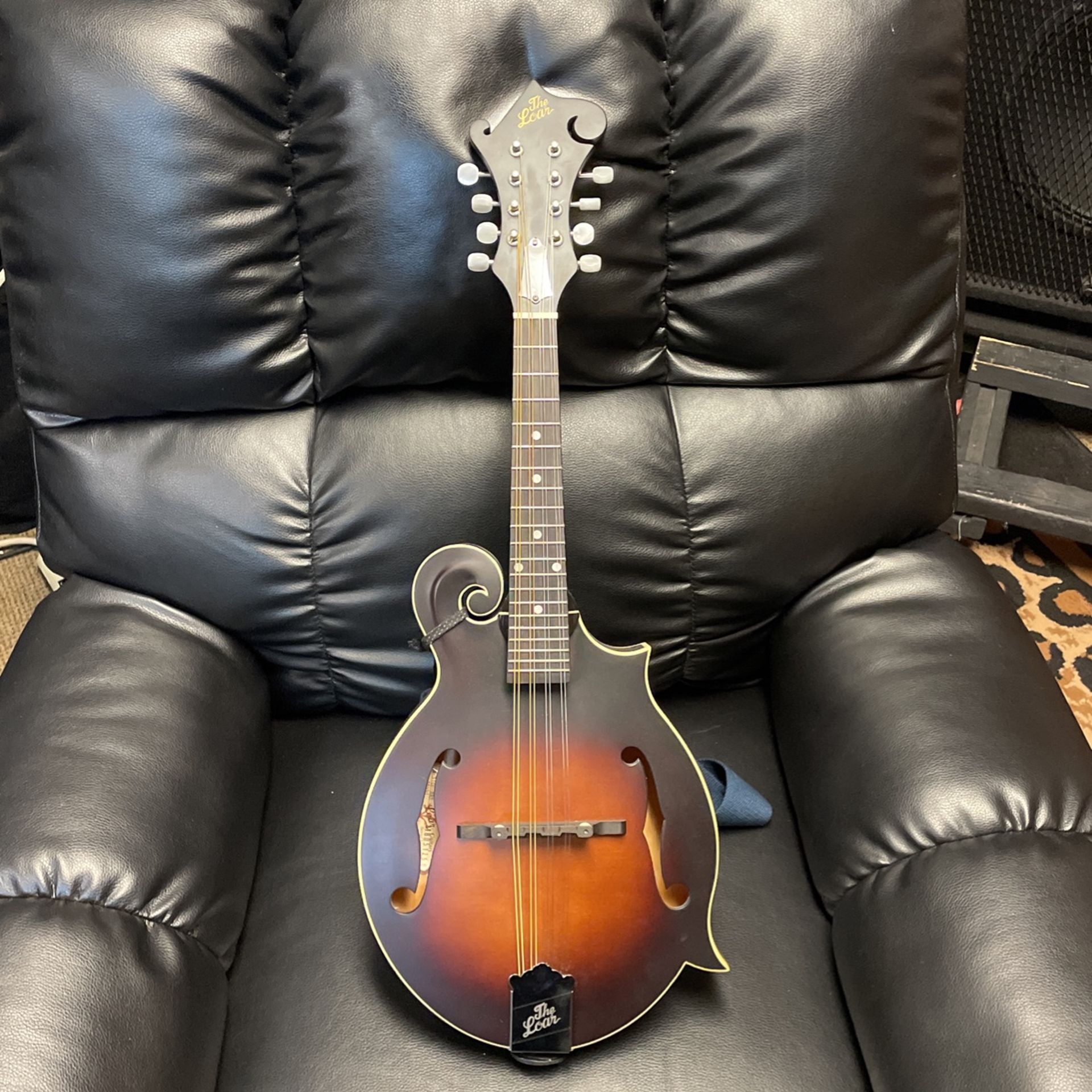“new “ Mandolin. Cheep!!