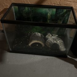 Fish Tank 20 Gallons 