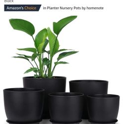 PLASTIC PLANTERS